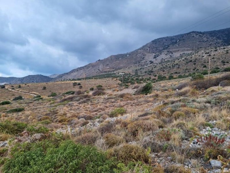 Tholos Baugrundstück direkt am Meer, Mirabello-Bucht, Nordostkreta Grundstück kaufen